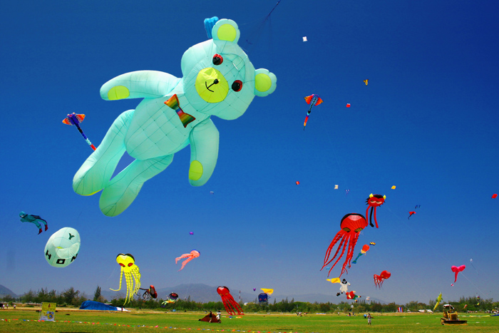 kite festival 3