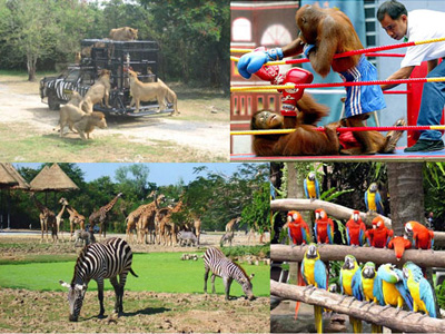 Vườn thú Safari World lớn nhất Châu Á