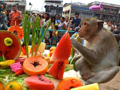 Độc đáo đại tiệc buffet dành cho khỉ ở Thái Lan